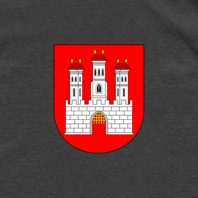 Coat of Arms Bratislava Oversized Premium T-shirt O103B-S photo