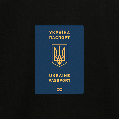 Passport of Ukraine Oversized T-shirt O110B-S photo