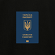 Passport of Ukraine Oversized T-shirt O110B-S photo 1