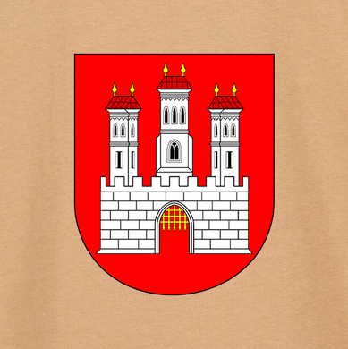 Coat of Arms Bratislava Oversized Premium T-shirt O103UBE-XXL photo